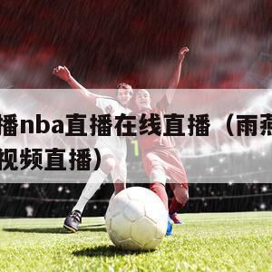 雨燕直播nba直播在线直播（雨燕nba直播免费视频直播）