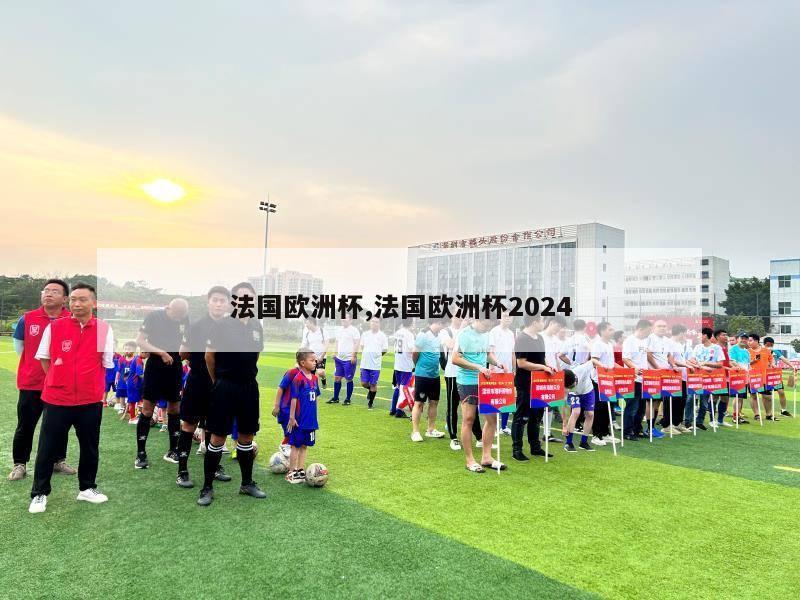 法国欧洲杯,法国欧洲杯2024