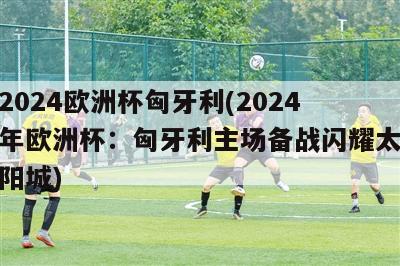 2024欧洲杯匈牙利(2024年欧洲杯：匈牙利主场备战闪耀太阳城)