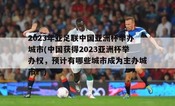 2023年亚足联中国亚洲杯举办城市(中国获得2023亚洲杯举办权，预计有哪些城市成为主办城市？)