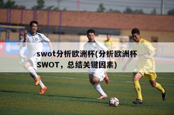 swot分析欧洲杯(分析欧洲杯SWOT，总结关键因素)